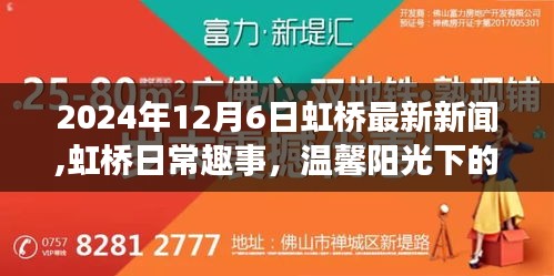 虹桥日常趣事，温馨阳光下的美好时光报道（2024年12月6日最新新闻）