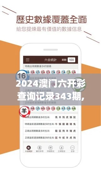 2024澳门六开彩查询记录343期,高效实施方法解析_C版19.171