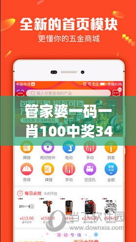 管家婆一码一肖100中奖343期,未来解答解释定义_soft2.121