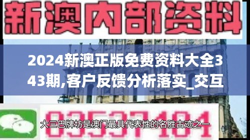 2024新澳正版免费资料大全343期,客户反馈分析落实_交互版4.700