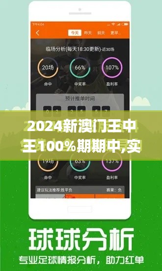 2024新澳门王中王100%期期中,实地分析数据计划_XT2.529