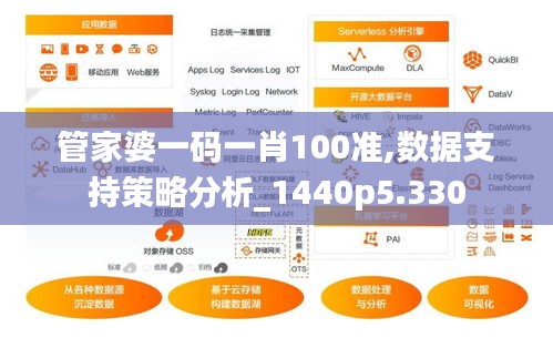 管家婆一码一肖100准,数据支持策略分析_1440p5.330