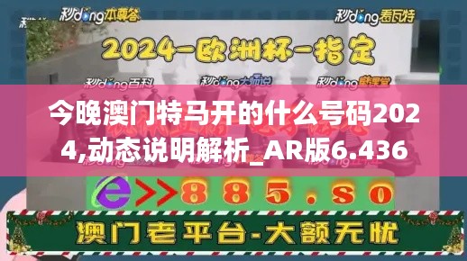 今晚澳门特马开的什么号码2024,动态说明解析_AR版6.436