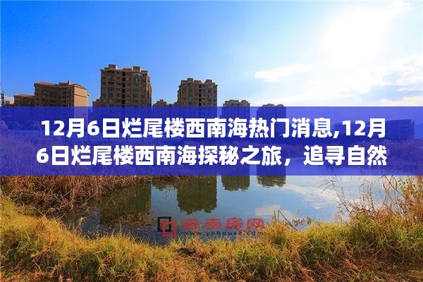 12月6日烂尾楼西南海热门消息,12月6日烂尾楼西南海探秘之旅，追寻自然美景，重拾心灵宁静