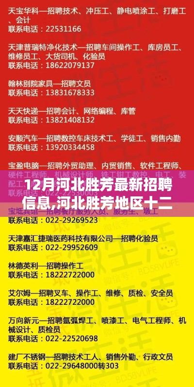 河北胜芳地区十二月最新招聘信息下的就业机遇与挑战