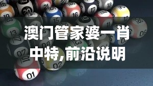 澳门管家婆一肖中特,前沿说明评估_Harmony款6.820