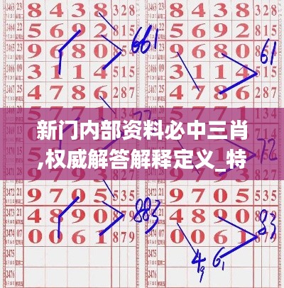 新门内部资料必中三肖,权威解答解释定义_特别款4.900