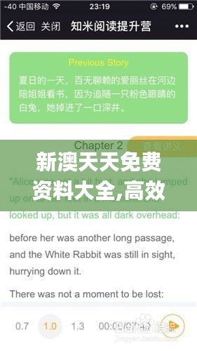 新澳天天免费资料大全,高效策略实施_豪华版8.762
