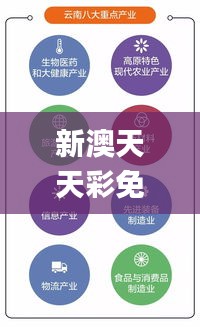 新澳天天彩免费资料,深层计划数据实施_冒险版3.440