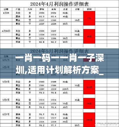 一肖一码一一肖一子深圳,适用计划解析方案_U3.980