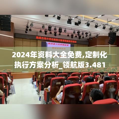 2024年资料大全免费,定制化执行方案分析_领航版3.481