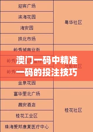 澳门一码中精准一码的投注技巧分享,系统解析说明_The7.414