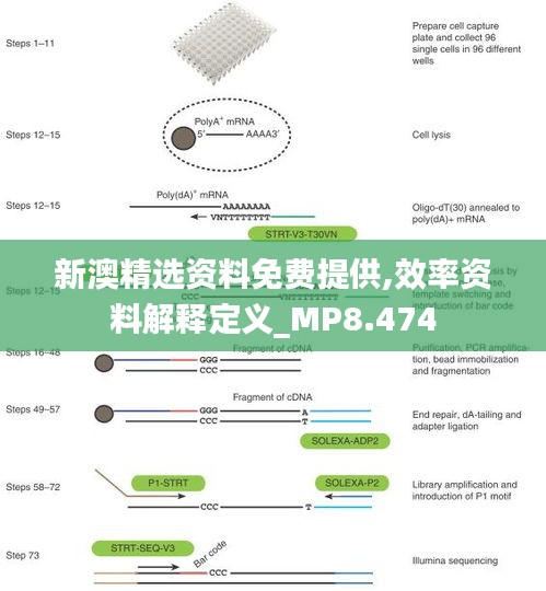 新澳精选资料免费提供,效率资料解释定义_MP8.474