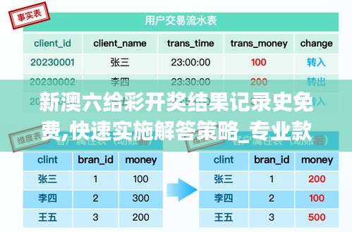 新澳六给彩开奖结果记录史免费,快速实施解答策略_专业款11.553