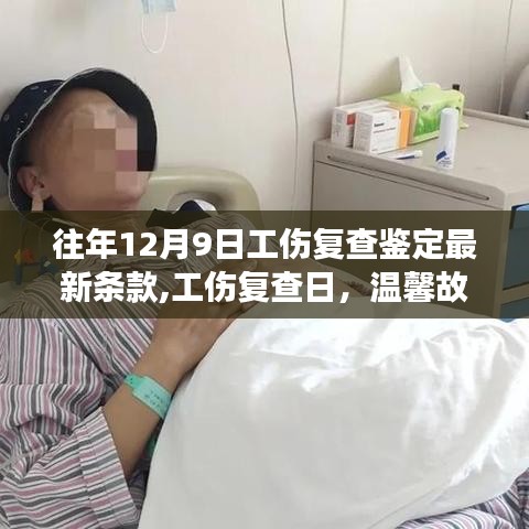 往年12月9日工伤复查鉴定新条款，家的温暖与鉴定新篇章的温馨故事