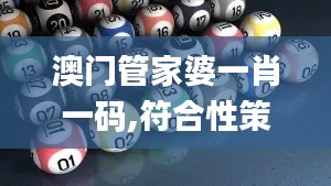 澳门管家婆一肖一码,符合性策略定义研究_纪念版5.855