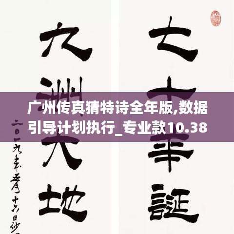 广州传真猜特诗全年版,数据引导计划执行_专业款10.387