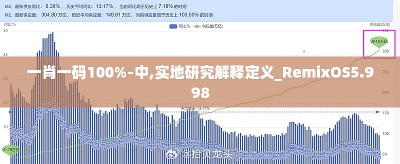 一肖一码100%-中,实地研究解释定义_RemixOS5.998