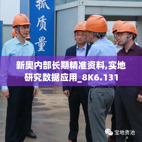 新奥内部长期精准资料,实地研究数据应用_8K6.131