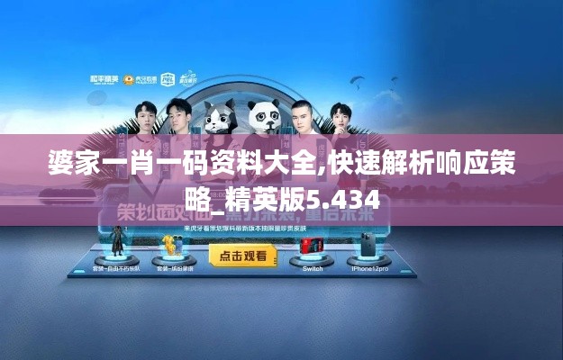 婆家一肖一码资料大全,快速解析响应策略_精英版5.434