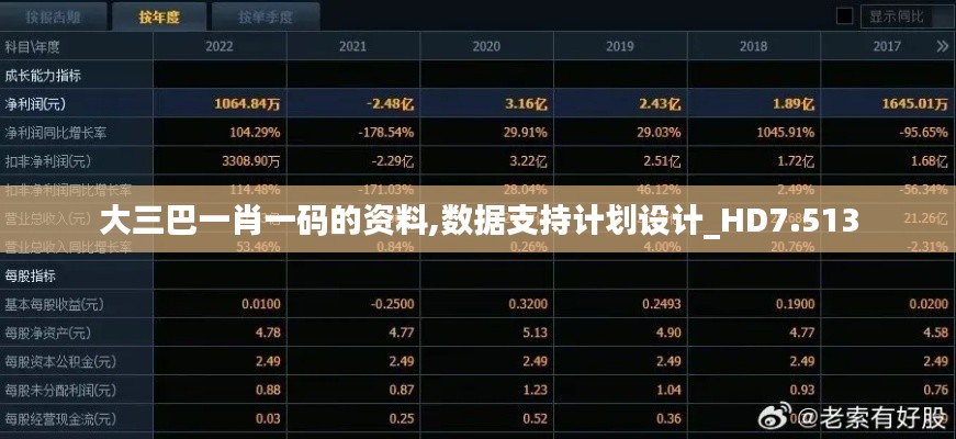 大三巴一肖一码的资料,数据支持计划设计_HD7.513