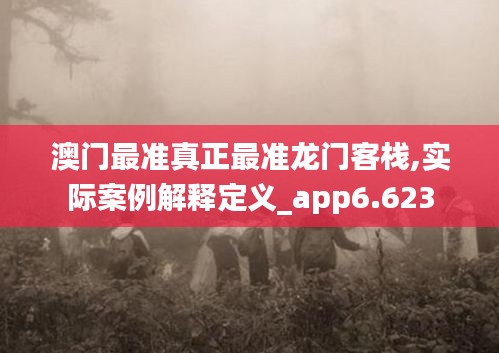 澳门最准真正最准龙门客栈,实际案例解释定义_app6.623