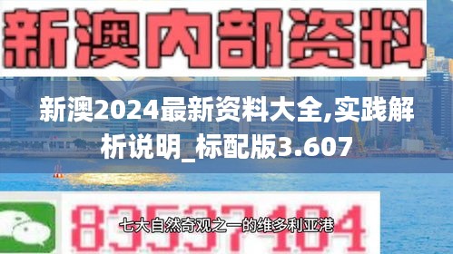 新澳2024最新资料大全,实践解析说明_标配版3.607
