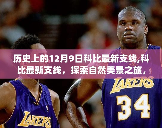 科比最新支线揭秘，自然美景之旅，探寻内心平和与宁静的历程