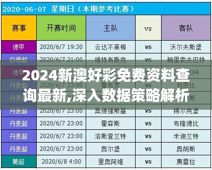 2024新澳好彩免费资料查询最新,深入数据策略解析_Galaxy4.223