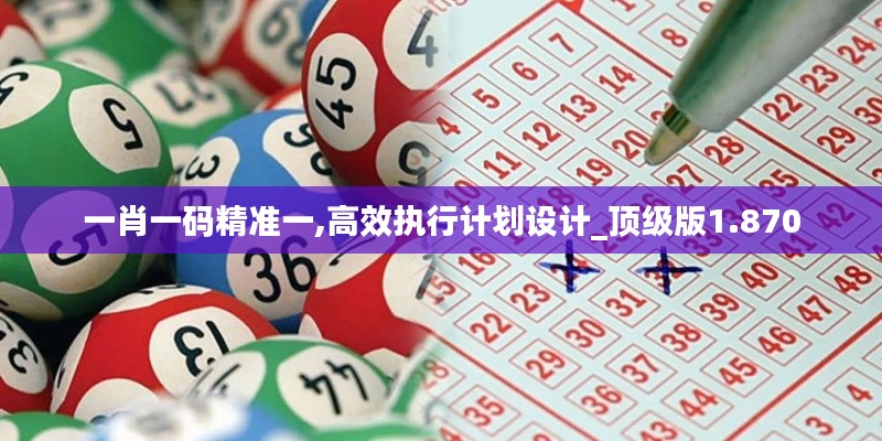 一肖一码精准一,高效执行计划设计_顶级版1.870