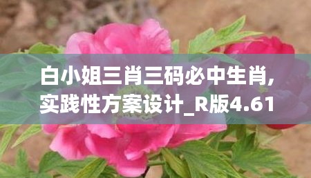 不耻下问 第4页