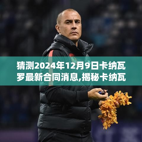 卡纳瓦罗新合同动向揭秘，未知惊喜与独特风味，2024年12月9日的期待与风味体验。