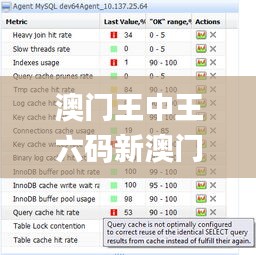 澳门王中王六码新澳门,战略性实施方案优化_基础版9.849