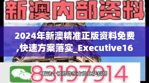 2024年新澳精准正版资料免费,快速方案落实_Executive16.329
