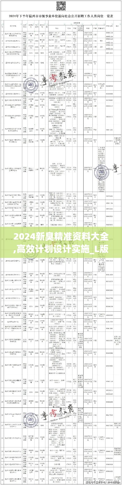2024新臭精准资料大全,高效计划设计实施_L版1.363