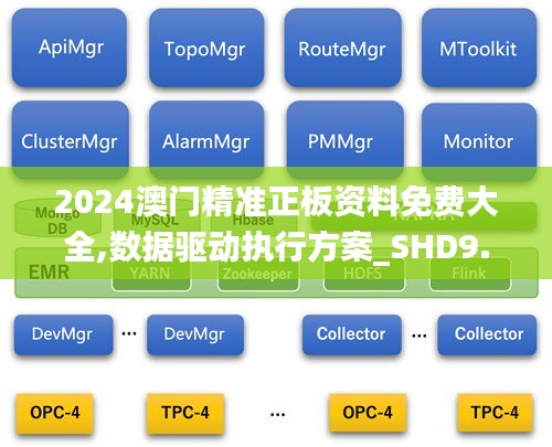2024澳门精准正板资料免费大全,数据驱动执行方案_SHD9.304