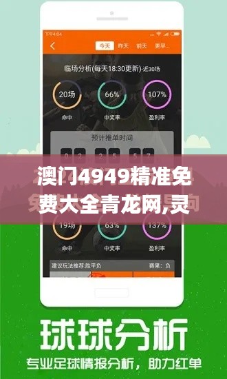 澳门4949精准免费大全青龙网,灵活解析执行_终极版5.794