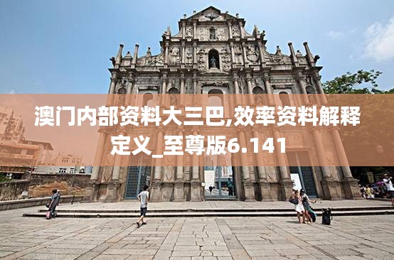 澳门内部资料大三巴,效率资料解释定义_至尊版6.141