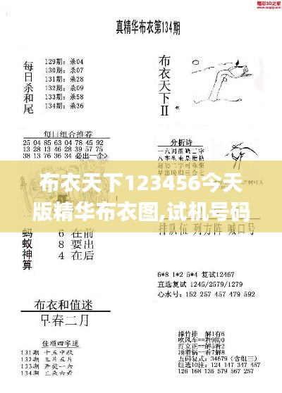 布衣天下123456今天版精华布衣图,试机号码,快速解答方案执行_模拟版14.962