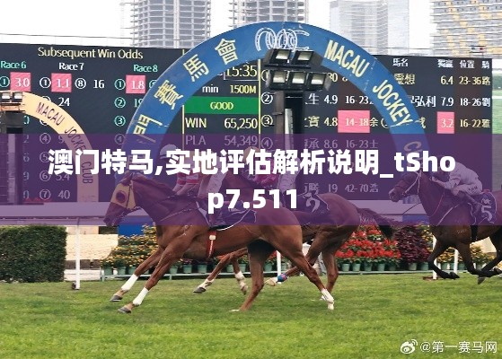 澳门特马,实地评估解析说明_tShop7.511