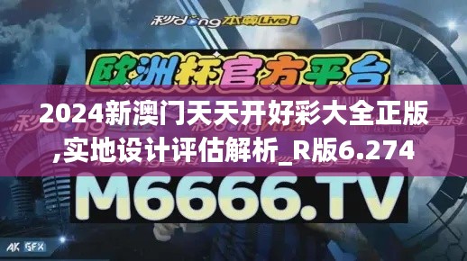2024新澳门天天开好彩大全正版,实地设计评估解析_R版6.274