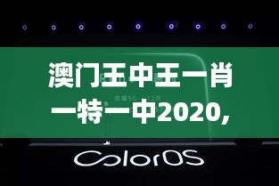 澳门王中王一肖一特一中2020,实时更新解析说明_macOS9.358