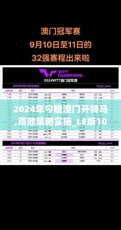 2024年今晚澳门开特马,高效策略实施_LE版10.936