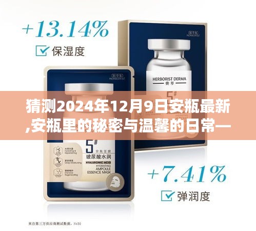 揭秘安瓶的秘密，温馨日常与奇妙经历的相遇——安瓶最新动态展望（2024年12月9日）