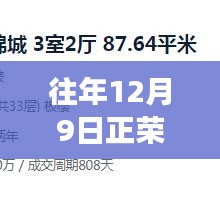 正荣润锦城热门动态深度解析，产品特性与用户体验评测报告