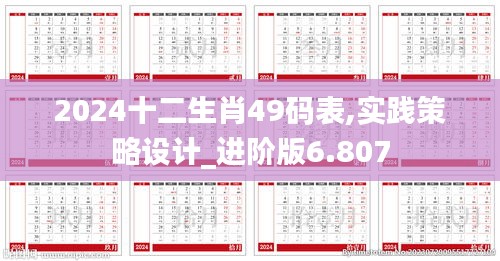 2024十二生肖49码表,实践策略设计_进阶版6.807