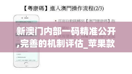 新澳门内部一码精准公开,完善的机制评估_苹果款19.593