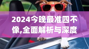 2024今晚最准四不像,全面解析与深度体验_高级版10.915
