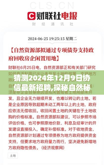 协信招聘之旅，探秘自然秘境，启程寻找宁静与美景，预测最新招聘动态（2024年12月9日）