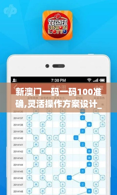 新澳门一码一码100准确,灵活操作方案设计_pro2.468